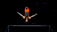 Epke Zonderland