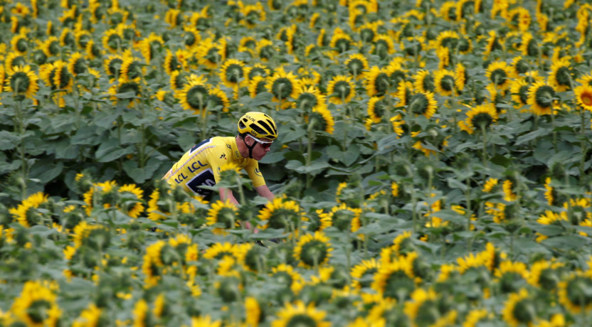 Chris Froome rijdt in de gele trui tussen de zonnebloemen